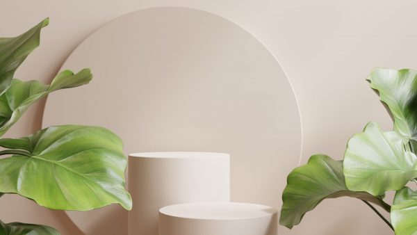 Zaproś trend eko do swojego domu